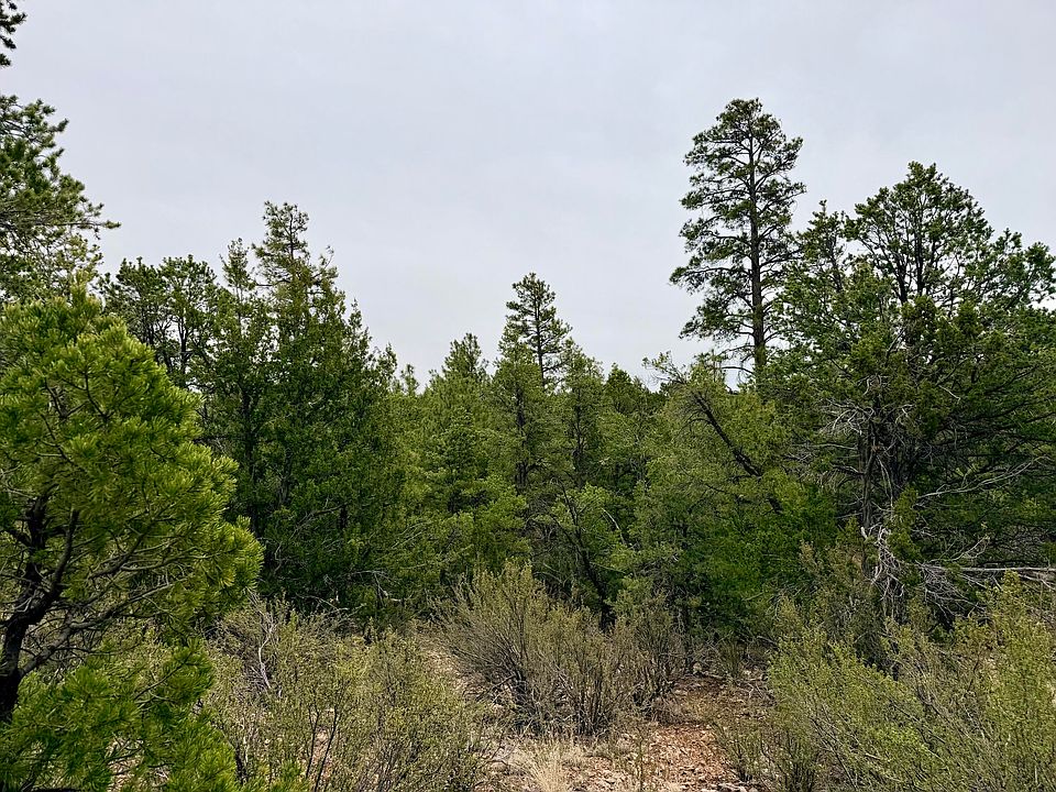1st image of 4918 Sunset Ridge Loop