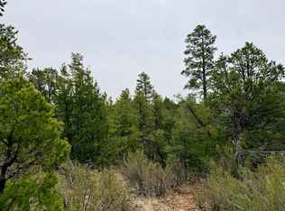 4918 Sunset Ridge Loop, Happy Jack, AZ 86024