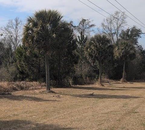 5th image of 0 County Road 36