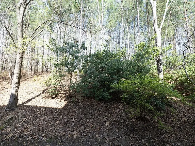 335 Bridgegate Dr — Photo 32
