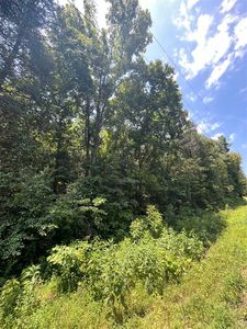 1715 American Rock Rd, Brownsville, KY, 42210