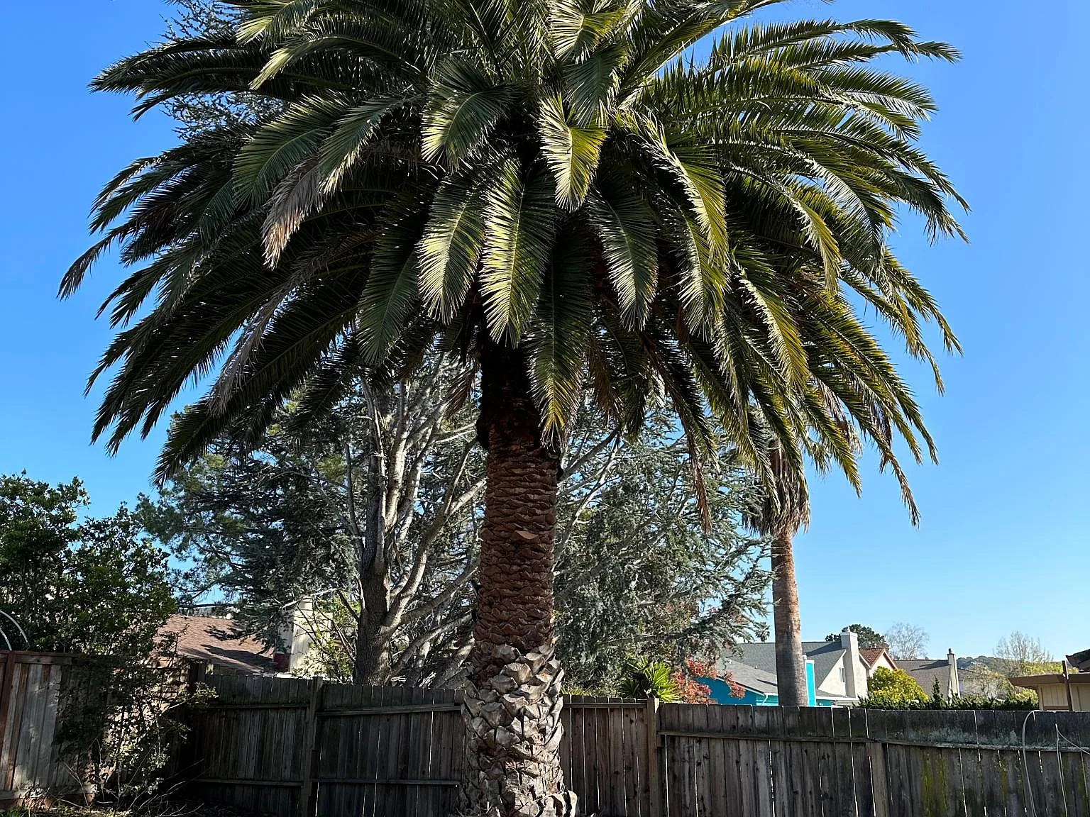 367 Violet Rd — Photo 4