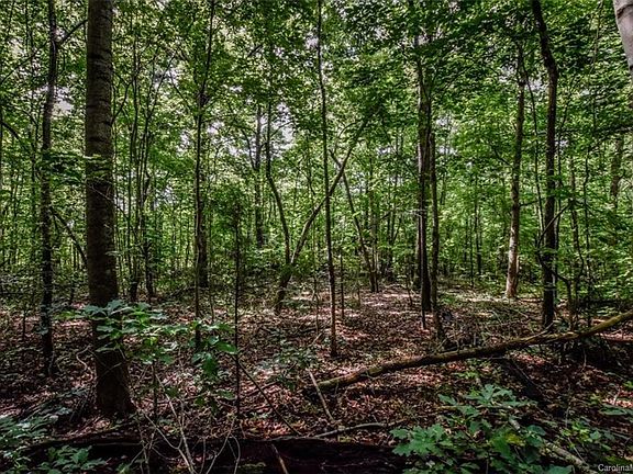 5th image of LOT 2 Stockbridge Ln