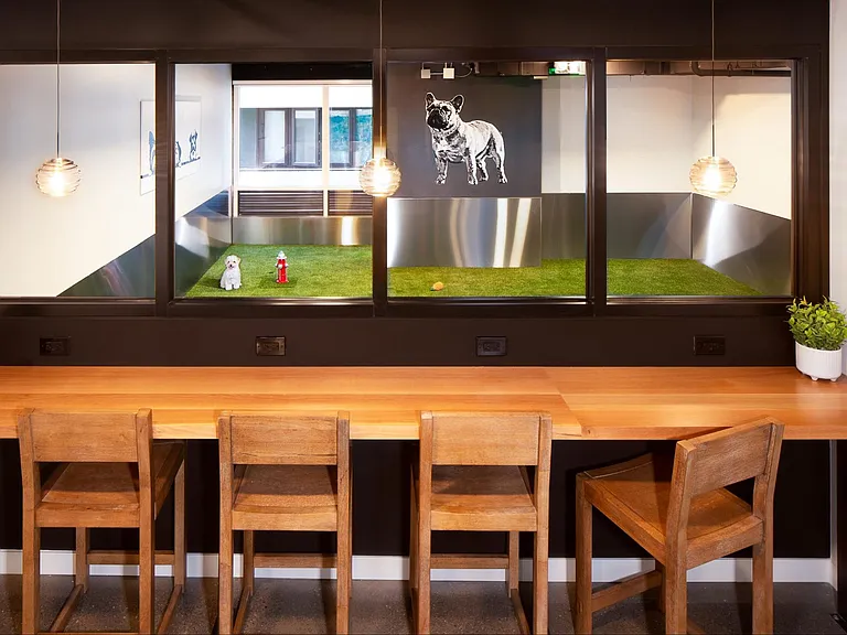 Pet friendly building with dog run and working area for pet parents. (Washing station not shown!)