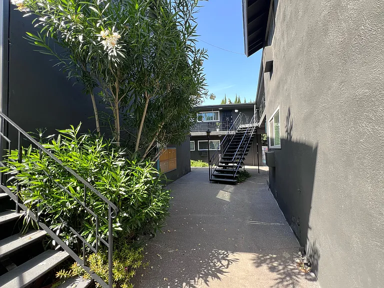 Amherst Gardens — Photo 14
