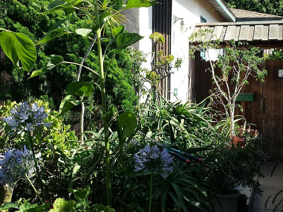 Front entrance through shared front yard.