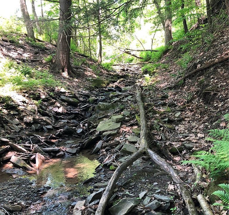 1st image of Dingman Hill Rd Lot 24