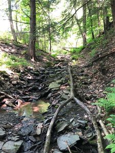 Dingman Hill Rd Lot 24, Bainbridge, NY, 13733