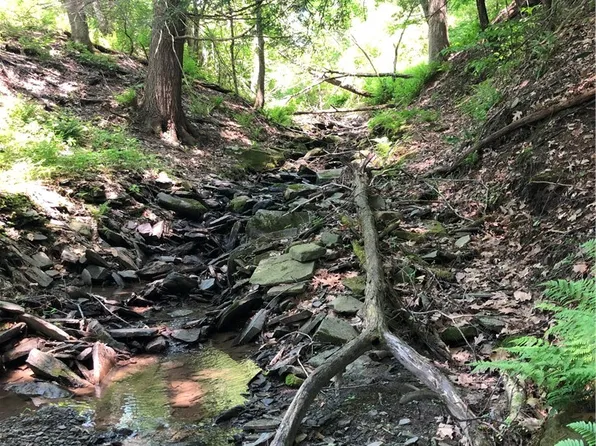 Dingman Hill Rd Lot 24, Bainbridge, NY 13733