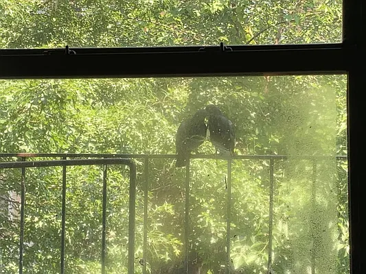 Rented by R New York | media 7