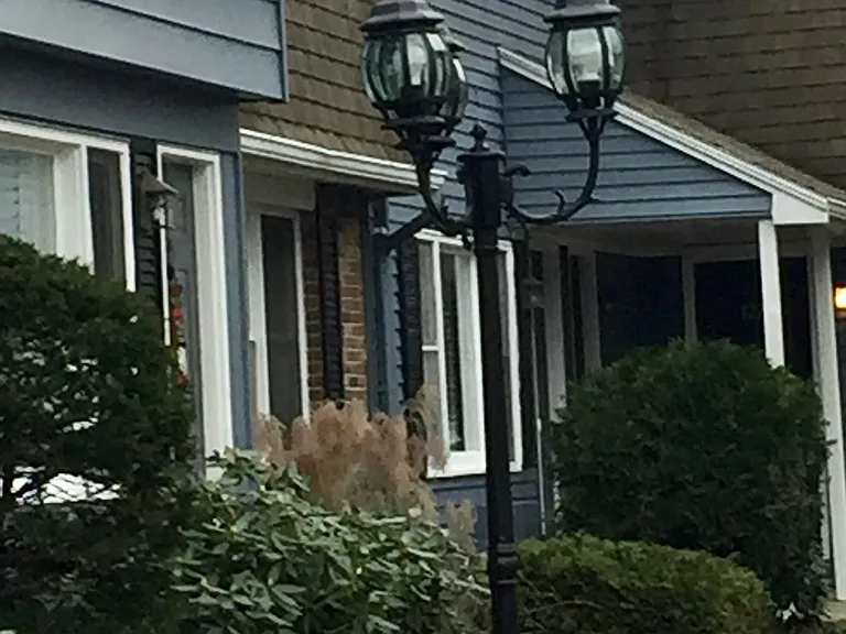 147 Allen St #147 — Photo 3