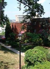 3rd image of 1569 Colonial Ter APT 307