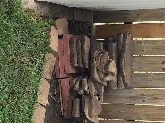 Backyard updates