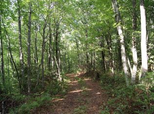 8 Hornet Dr, Whittier, NC 28789