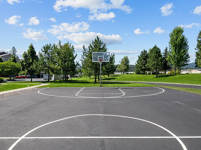 Basketball Court