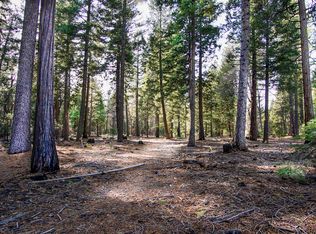 2 Ritts Mill Rd, Shingletown, CA 96088