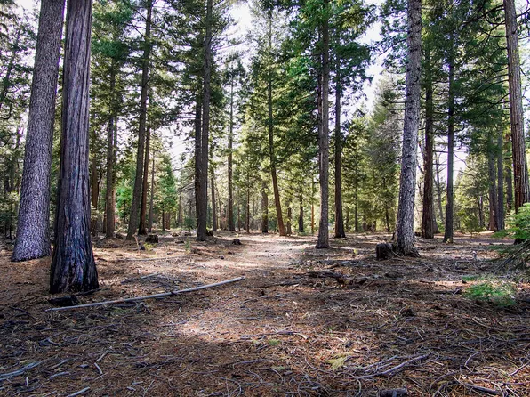 2 Ritts Mill Rd, Shingletown, CA 96088