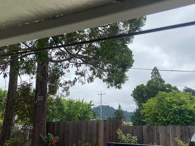 View of Fitch Mtn.
