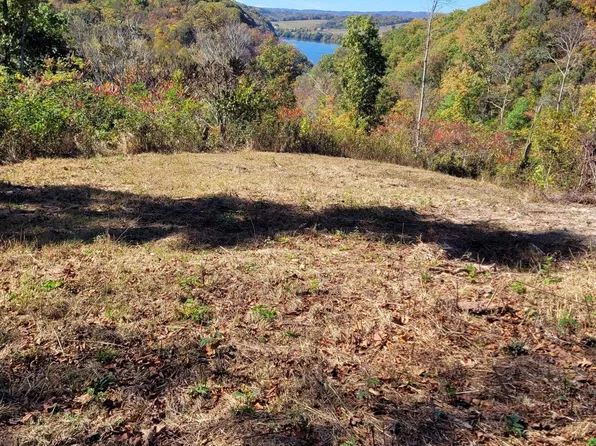 Lota 21acr Baptist Hollow Rd, Hiwassee, VA 24347