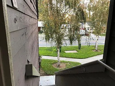 1 bed, 658 sqft, $2,950 — Photo 3
