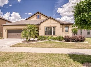 11356 American Holly Dr, Riverview, FL 33578