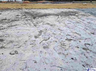 3515 Ballpark Rd, Effingham, SC 29541