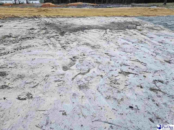 3515 Ballpark Rd, Effingham, SC 29541