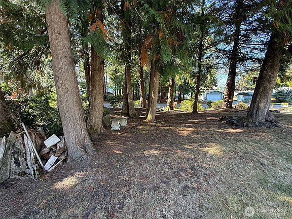 3rd image of 310 E Ballantrae Drive