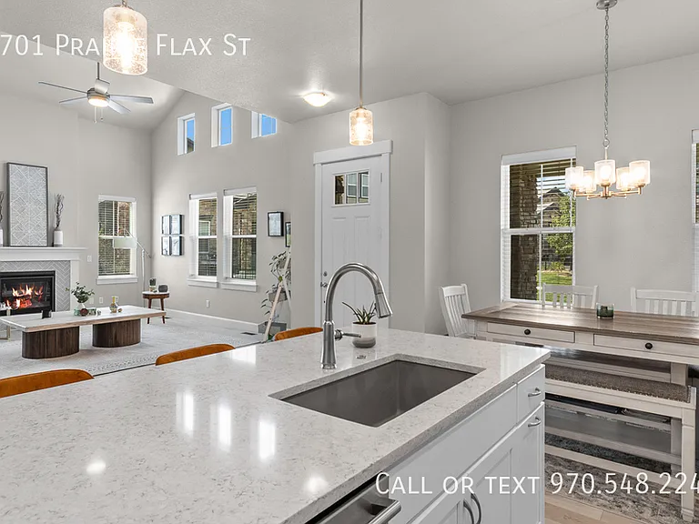 2701 Prairie Flax St — Photo 10