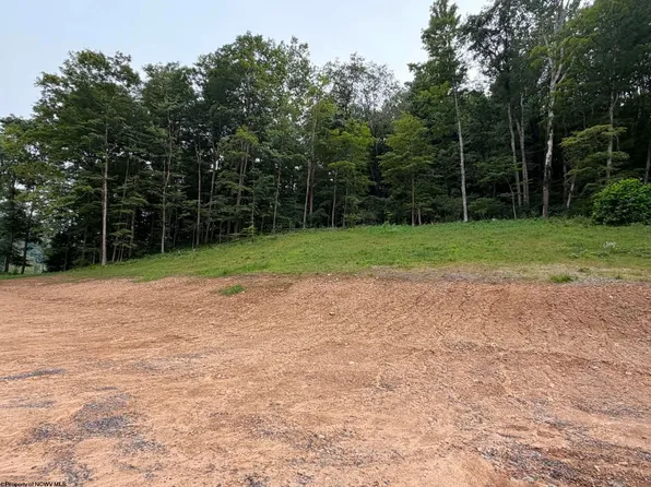 Pharis Rd, Belington, WV 26250
