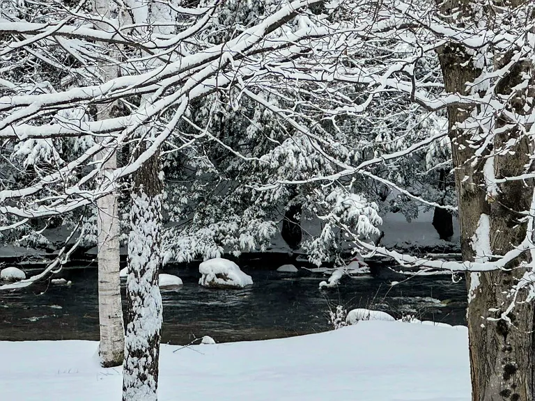 River view from the deck