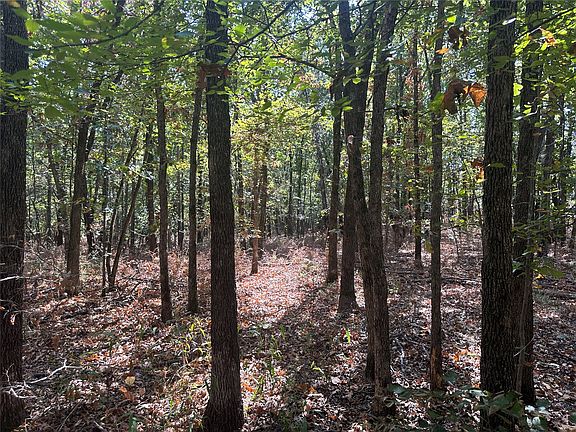 5th image of 4300 Road