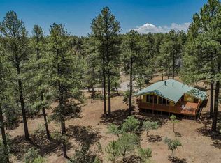 82 Pioneer Dr, Cloudcroft, NM 88317