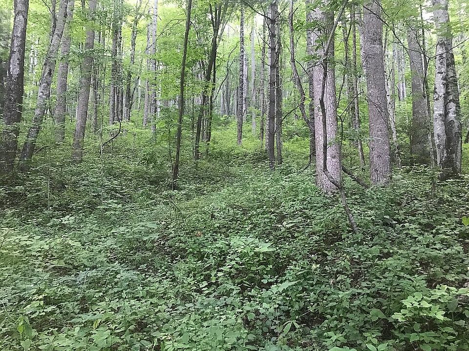 Possible Building Site