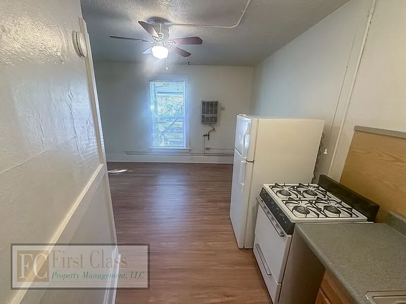 Studio, 250 sqft, $745 — Photo 3