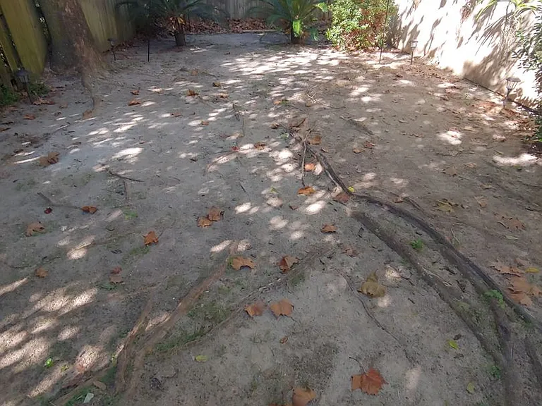 3222 Huntington Woods Blvd — Photo 11