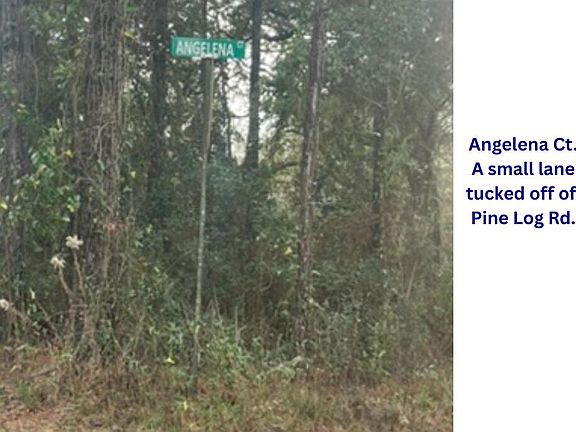 5th image of 4 Five 6 Angelena Ct