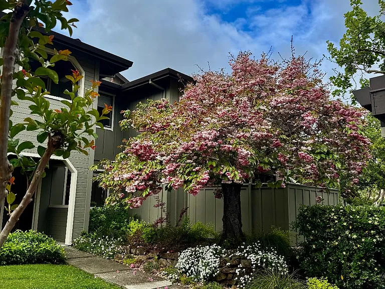 Bernice Ln — Photo 2