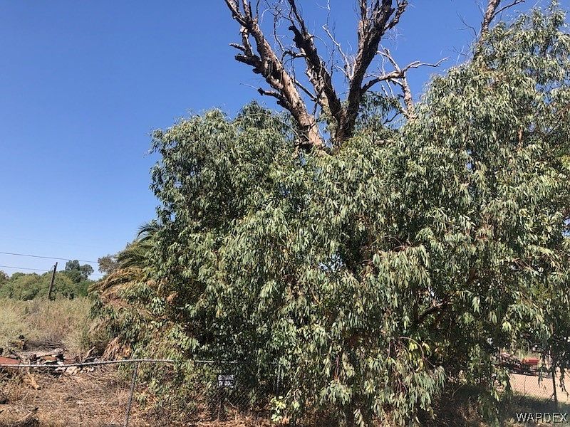 2nd image of 10537 S Tropics Road