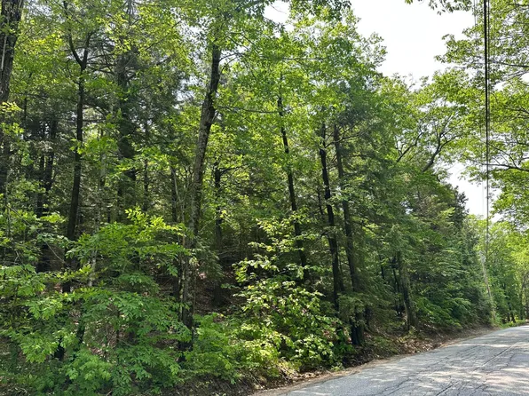Lot 20 Dyke Mountain Road, Sebago, ME 04029