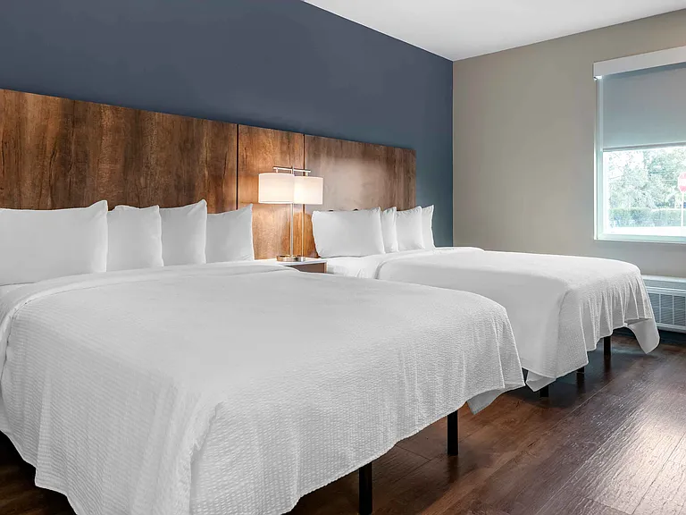Studio Suite - 2 Queen Beds