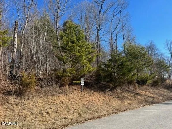 Flagstone Loop, New Tazewell, TN 37825