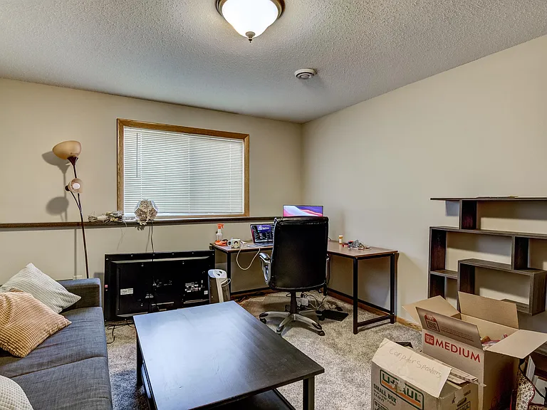 Lower level bedroom 2