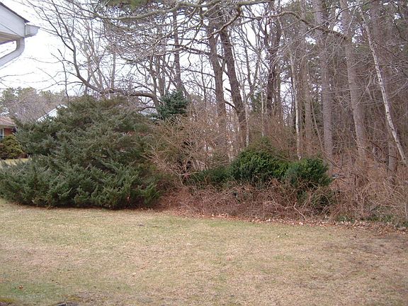 5th image of 5B Valley Forge Dr