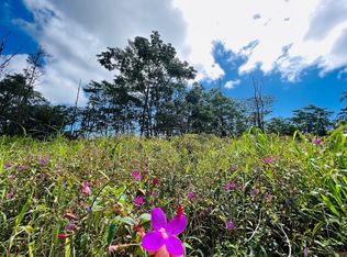 Sandalwood Ct LOT 9, Kurtistown, HI 96760