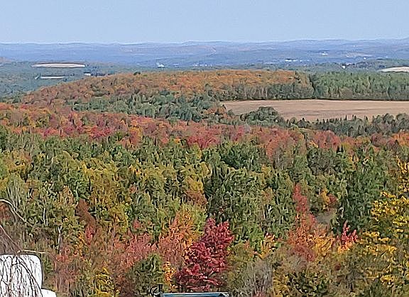 Autumn view from windows