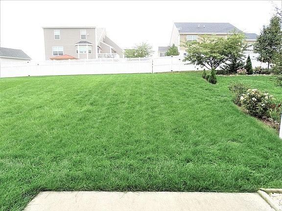 Patio & Back Yard