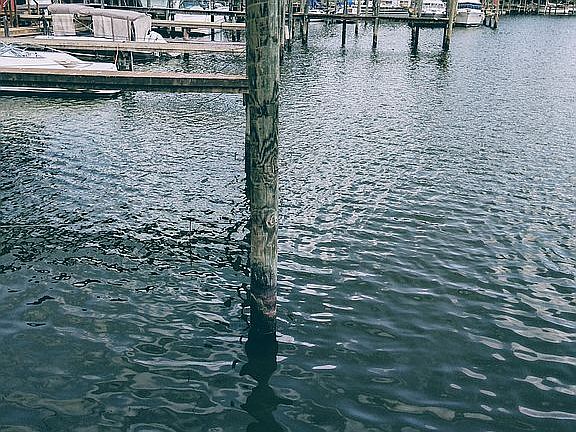 View from end of slip!