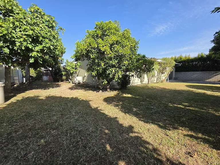 Very spacious backyard with lots of beautiful greenery