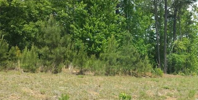 2nd image of 5828 Wild Herrin Trl